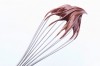 food-michael-hirsch-photography-chocolate-whisk-002